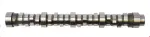 ES1651 - : Engine Camshaft for Enginetech Image