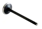EM2809 - : Engine Exhaust Valve for Enginetech Image