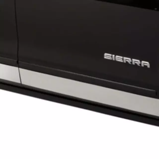 19353862 - Exterior: Bodyside Molding, Rocker Panel for GM Image