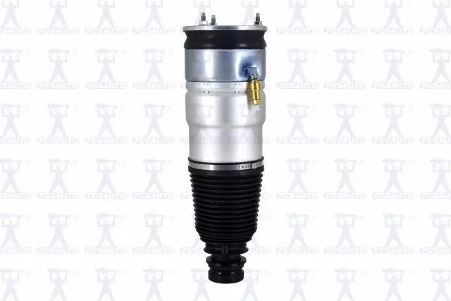 93015 - Suspension &amp; Steering: Focus Auto Parts Air Suspension Strut for Focus Auto Parts Image