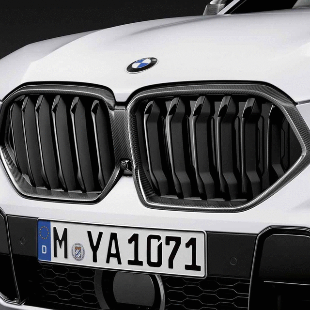 51712467264 - Exterior: M Performance Carbon Front Ornamental Grille for BMW: X6 Image