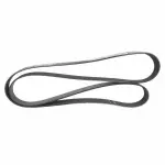 JK8711 - : Motorcraft™ Accessory Drive Belt for Ford: Mustang Image