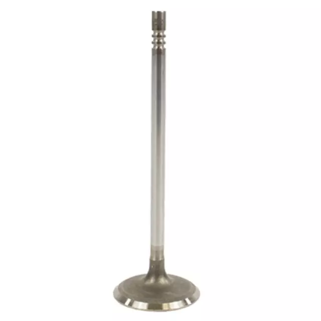 Intake Valve - Ford (JL3Z-6507-A)