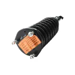 883167 - : Loaded Strut Assy for GSP Image