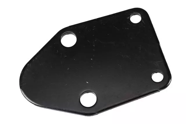 14094069 - : Fuel Pump Block-Off Plate for GM Image