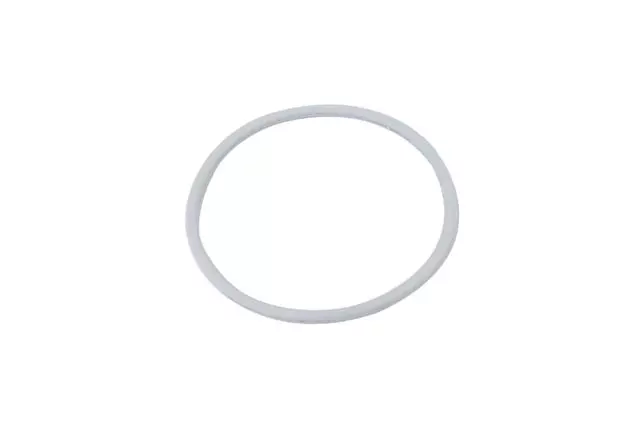 19133160 - : Transfer Case Two/Four Wheel Drive Actuator Position Sensor Seal for GM Image