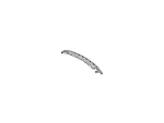 5W6Z76517C22APTM - Body: Front Molding for Ford: Thunderbird Image