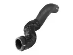 2L1Z8260BC - Cooling System: Upper Hose for Ford: Expedition Image