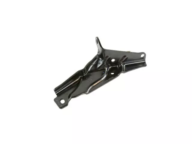 68330396AA - Doors, Door Mirrors and Related Parts: Hinge Bracket, Left for Ram: ProMaster City Image