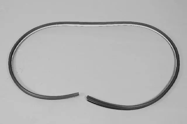 Rear Door Weatherstrip - Mopar (UW64DW1AC)