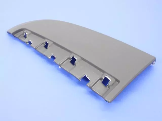 Instrument Panel Bezel - Mopar (1FH89XDHAB)