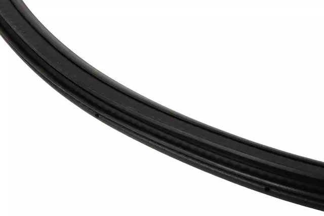 Weather-Strip On Body - GM (84961589)