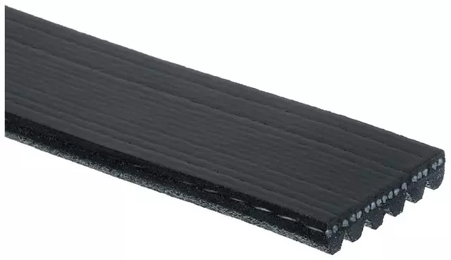 Belt - GM (88932772)