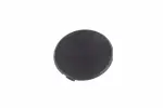 85610013 - : F (S)Cap for GM Image