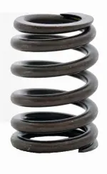 ERV2225 - : Engine Valve Spring for Enginetech Image