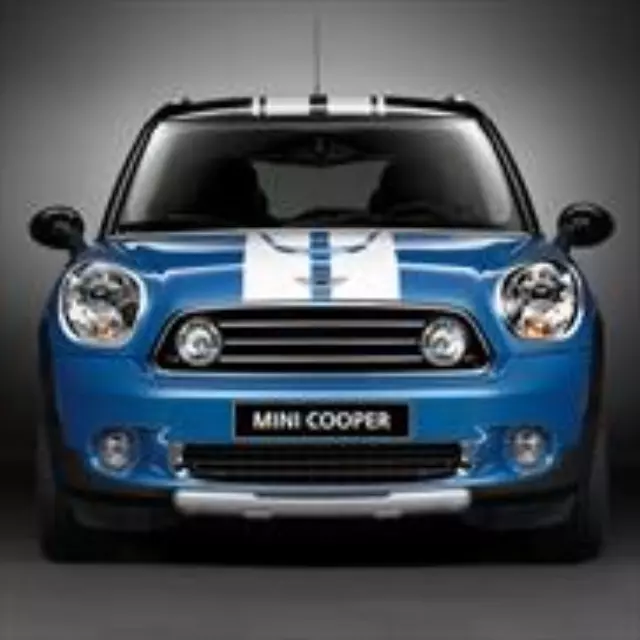 51142339295 - Exterior: Sport Stripes - White Roof for Mini: Cooper Paceman Image