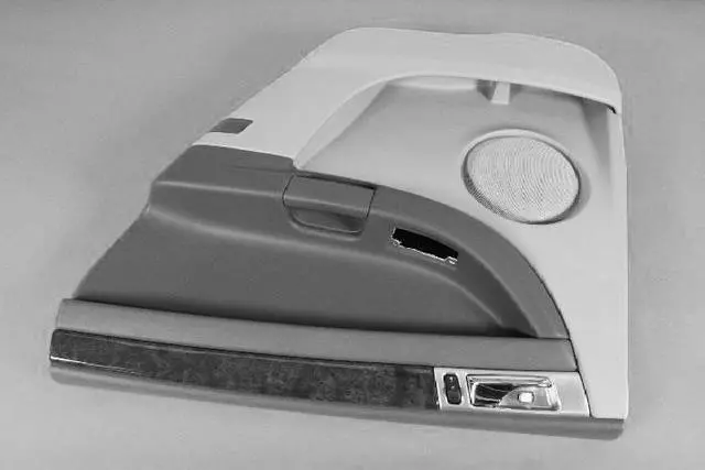 Rear Door Trim Panel, Right - Mopar (1BF161DAAB)