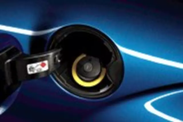 2010-2012 Ford Mustang Rear Splash Guard Mud Flaps - Ford (AR3Z16A550AC)