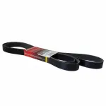 JK81261A - Cooling System: Motorcraftâ„¢ Serpentine Belt for Ford: Excursion Image