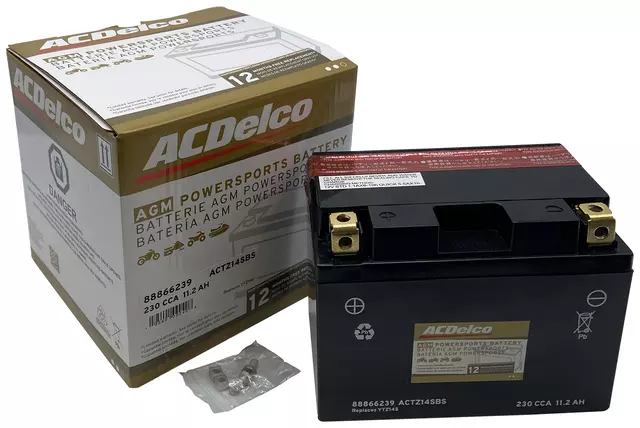 Vehicle Battery - ACDelco (ACTZ14SBS)