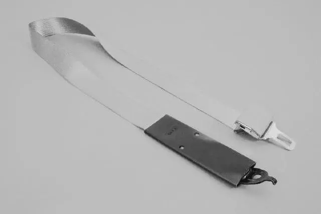 Tip Half Seat Belt, Center - Mopar (5GW301J3AC)