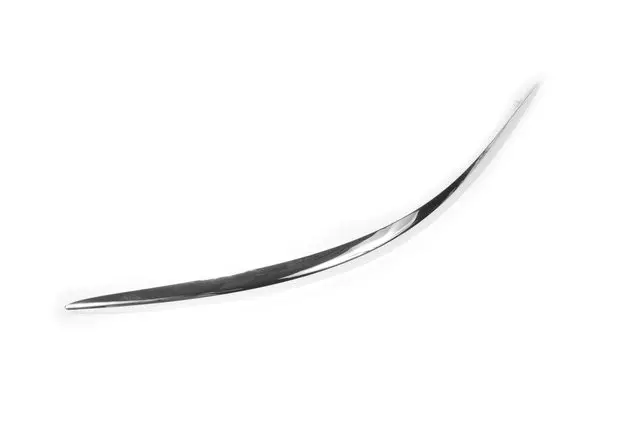 15276878 - Body: Rub Strip for Buick: LaCrosse Image