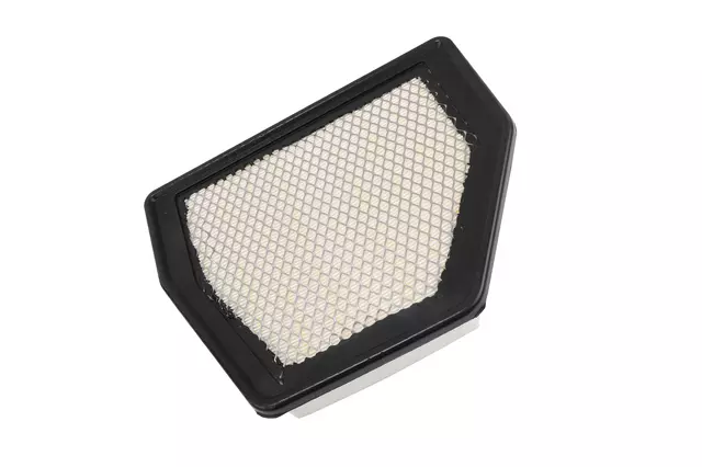 Air Filter - GM (19254733)