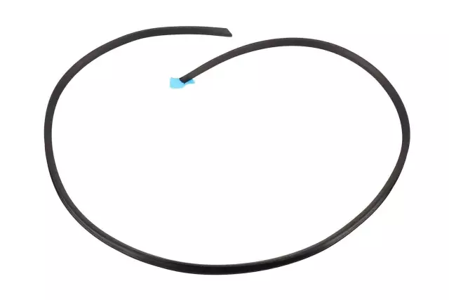 15881441 - : Side Seal for Chevrolet: Corvette Image