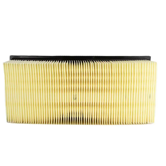 Air Filter - Ford (5C3Z-9601-AB)