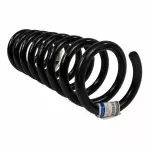JL3Z5310C - Suspension: Coil Spring for Ford: F-150, F-150 Lightning Image