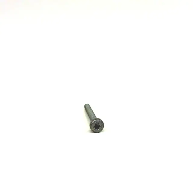 N10470703 - Hardware and Service Supplies: Screw for Lamborghini Image