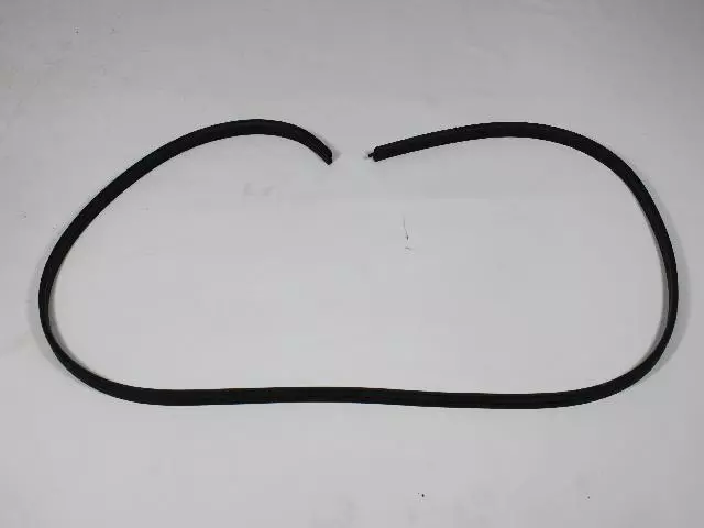 Weatherstrip - Mopar (55135179AB)