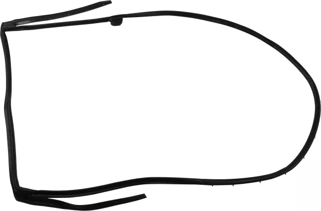 828313KA0F - : Surround Weather-Strip for Nissan: Pathfinder Image