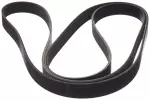 117209BM0A - : Serpentine Belt for Nissan Image