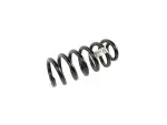 68531295AA - Front Suspension: Front Coil Spring, Left for Mopar Image