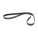 117209HF0A - : Serpentine Belt for Nissan Image