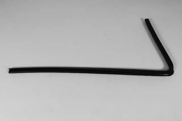 55359400AG - Doors and Related Parts: Front Door Seal, Right for Ram: Dakota Image