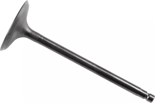 132016KA0B - Engine: Intake Valve for Nissan: Pathfinder Image