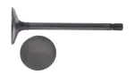 V2146 - Engine: Engine Intake Valve for Enginetech Image