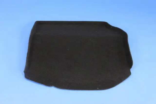 Insert Carpet, Left - Mopar (1WS41DX9AC)