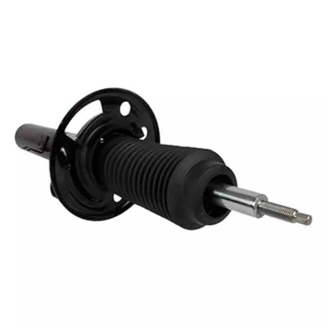 Shock Absorber Assembly - Front - Ford (AST-429)