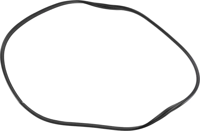 848309DL0A - Body: Weatherstrip for Nissan: Maxima Image