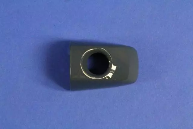 1RH67MAGAC - Doors, Door Mirrors and Related Parts: Door Handle Cap for Chrysler: 300 Image