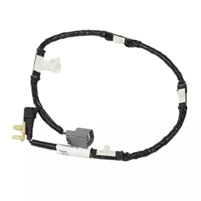Wire Harness - Ford (DG9Z-14A411-F)
