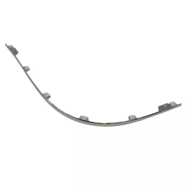 Molding - Ford (5G1Z-17C830-AAB)