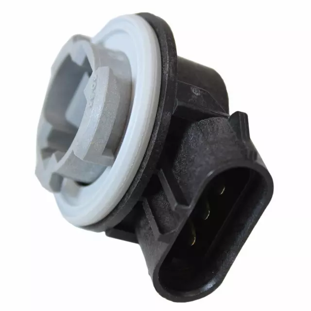 F1TZ13411F - Electrical: Socket for Ford: E-150, E-150 Club Wagon, E-150 Econoline, E-150 Econoline Club Wagon, E-250, E-250 Econoline, E-350 Club Wagon, E-350 Econoline, E-350 Econoline Club Wagon, E-350 Super Duty, E-450 Econoline Super Duty, E-450 Super Duty, Econoline Super Duty, Excursion, Expedition, Explorer, Explorer Sport, Explorer Sport Trac, F-150, F-250, F-250 Super Duty, F-350 Super Duty, F-450 Super Duty, F-550 Super Duty, Focus, Mustang, Ranger, Taurus | Lincoln: Blackwood | Mercury: Mountaineer, Sable Image