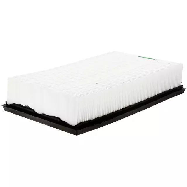 Air Filter - GM (20862288)