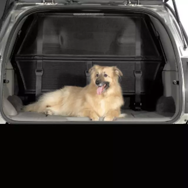 12498786 - Interior: Cargo Area Partition for Cadillac: SRX Image