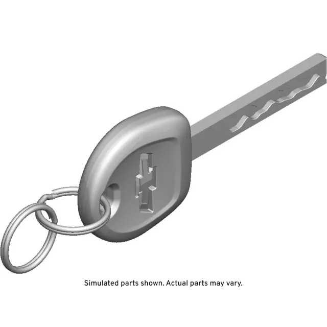13523880 - : Door Lock and Ignition Key for GM Image