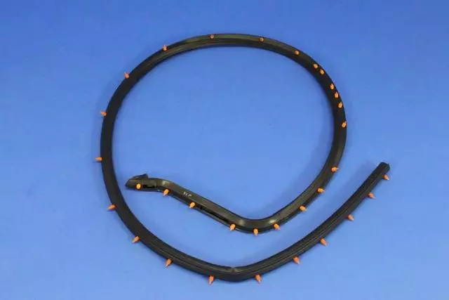 Door Weather-Strip - Mopar (68096402AC)